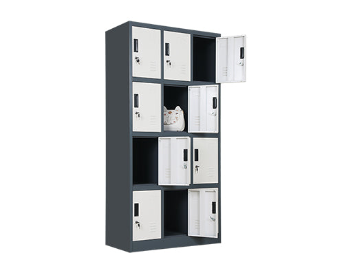 12 Door Steel Locker