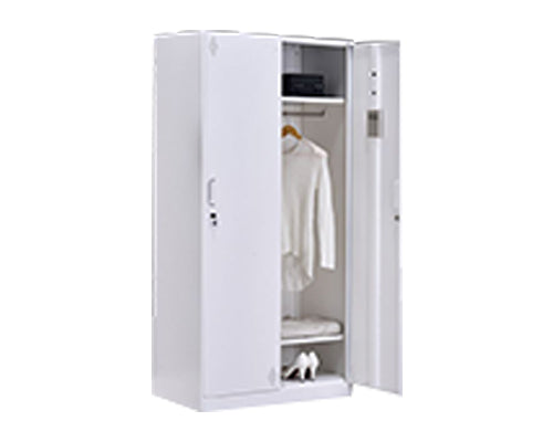 2 Doors Slim Rim Steel Locker