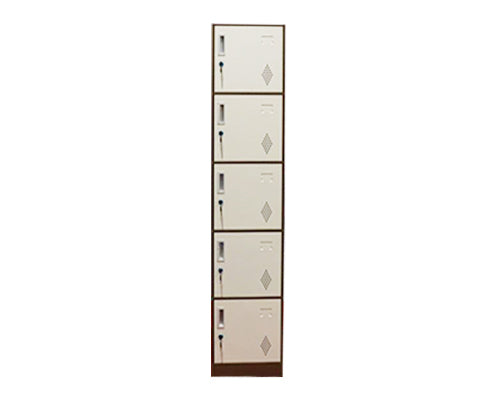5 Doors Slim Rim Steel Locker