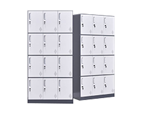 12 Doors Slim Rim Steel Locker
